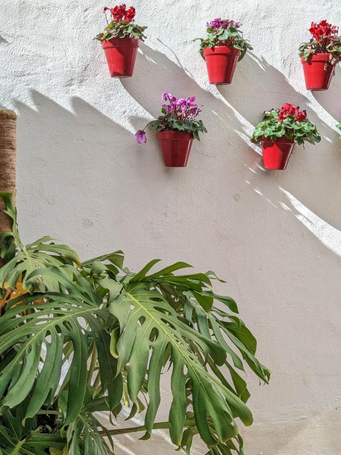 Harbor Getaway In The Heart Of Puerto Banus With Walking Dictance To Everything 马尔韦利亚 外观 照片