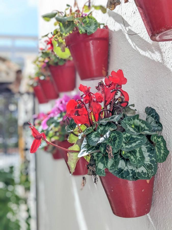 Harbor Getaway In The Heart Of Puerto Banus With Walking Dictance To Everything 马尔韦利亚 外观 照片